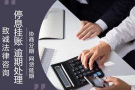 宁明融资清欠服务